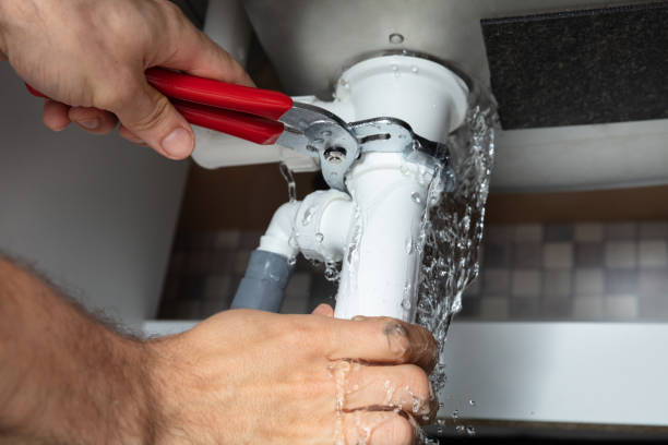 Best Flood damage cleanup  in Adelphi, MD