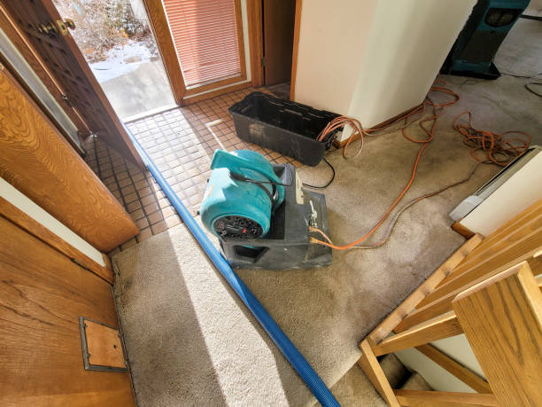 Best Sewage cleanup and water damage restoration  in Adelphi, MD
