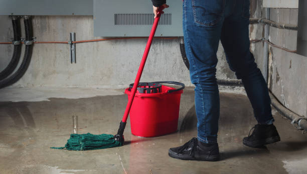 Best Basement water damage restoration  in Adelphi, MD