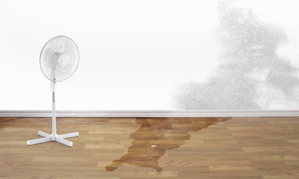 Adelphi, MD Water damage restoration Company
