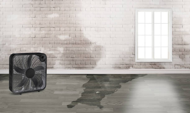 Water damage restoration experts in Adelphi, MD