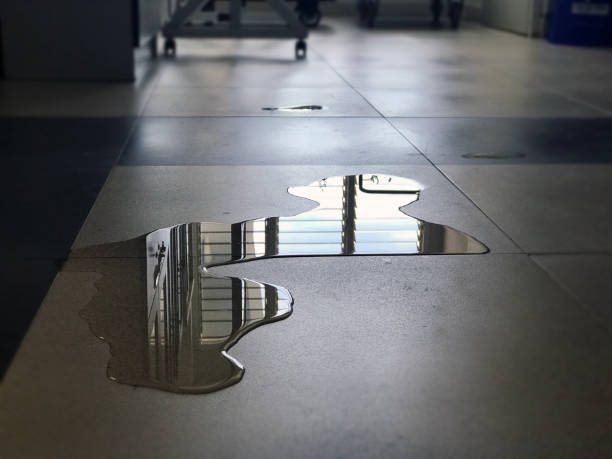 Best Local water damage restoration  in Adelphi, MD