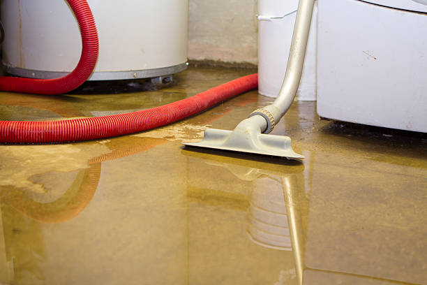 Best Residential water damage restoration  in Adelphi, MD