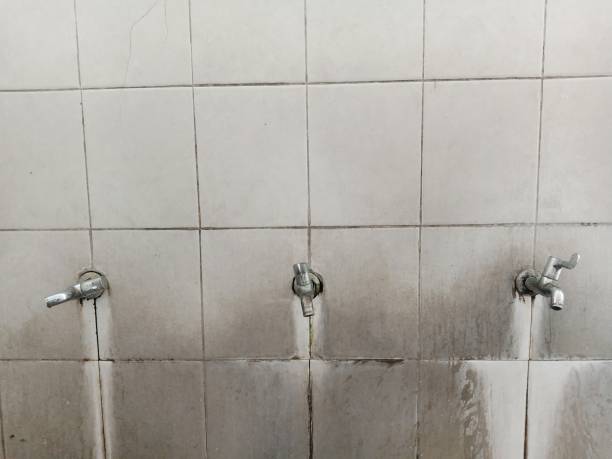 Best 24/7 water damage repair  in Adelphi, MD