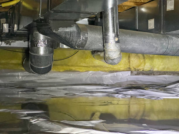 Best Flood restoration services  in Adelphi, MD