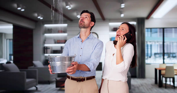 Best Water damage restoration experts  in Adelphi, MD